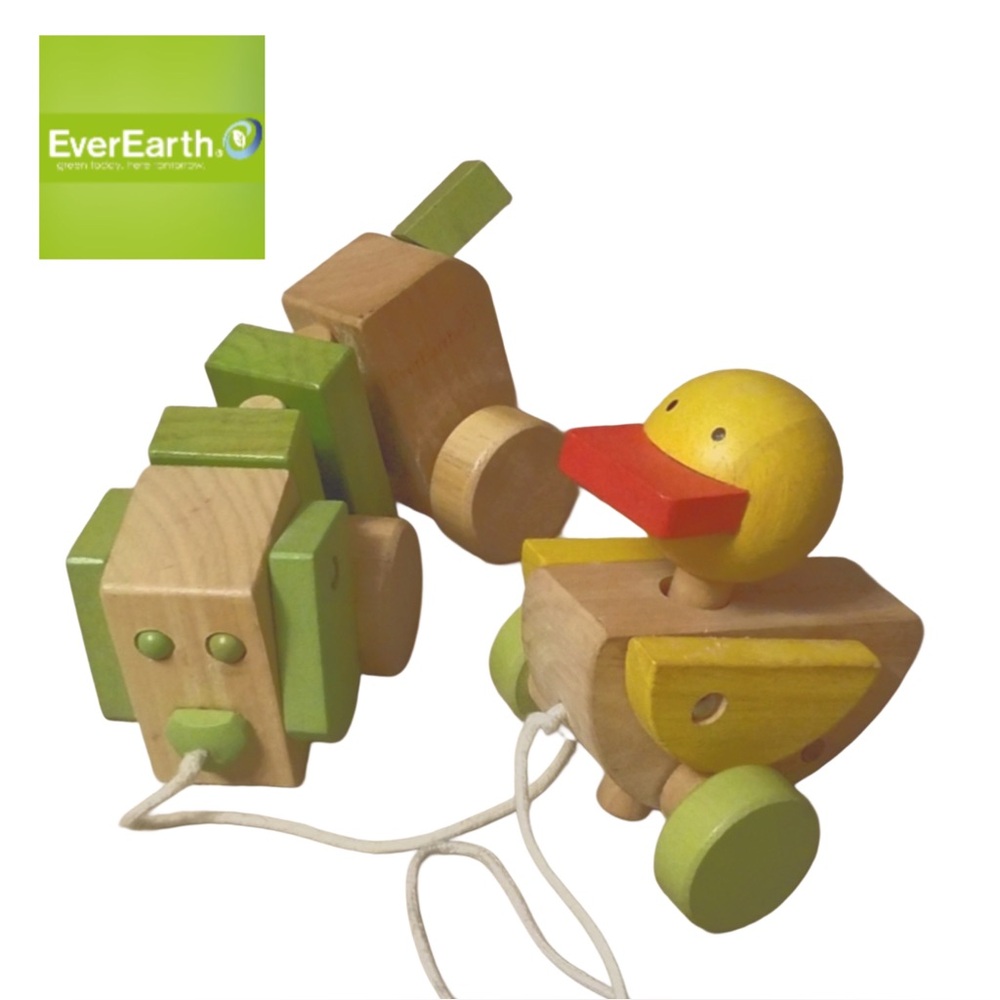 EverEarth Pull Along Wooden Dog and Duck